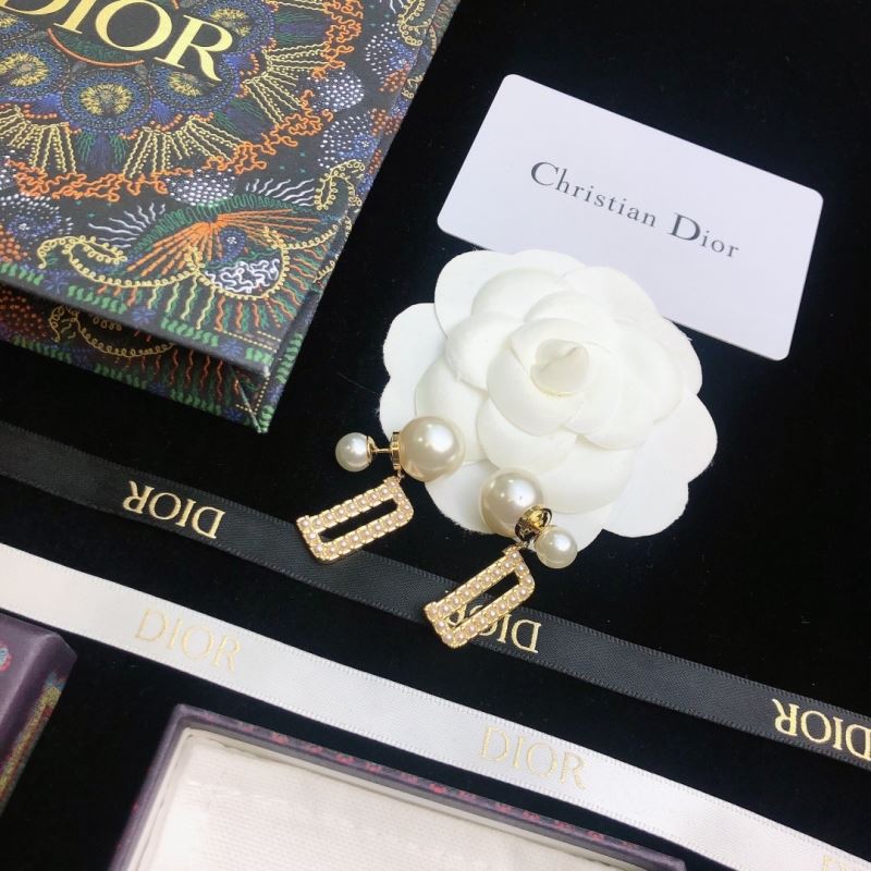 Christian Dior Earrings